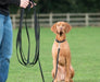 Company of Animals Recall Line 10m Long Dog Training Leash 2