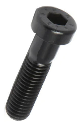 IM Distribuciones Allen Screw Cylindrical Head M6 X 110 (25 Units) 0