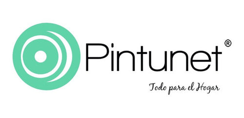 Andina Enduido Interior 20lts - Pintunet2007 Offer!!! 2