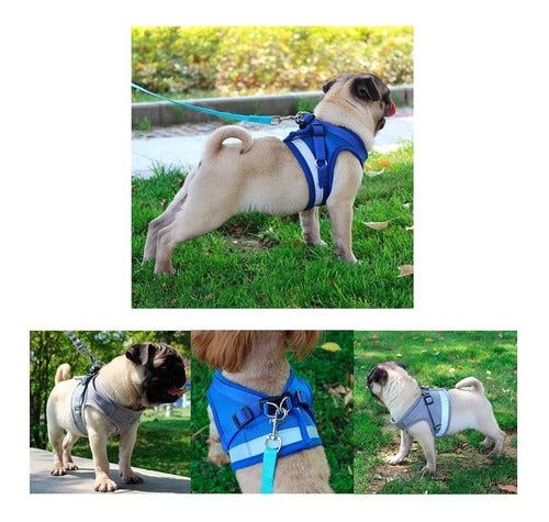 Padded Harness with Leash for Small Dogs and Cats - Various Sizes 7