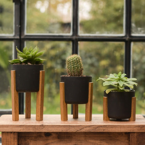 Mini Succulent Cactus Planters N8 Nordic Set of 3 5