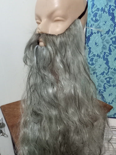 Barba Gris Matizada...no Peluca By La Parti Wigs 3