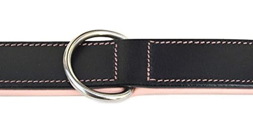 Soft Touch Collars - Luxury Padded Leather Dog Collar 1