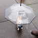 Namsan Dog Umbrella For Small Dogs - Self-assembly Pet Umbrella With Chain Leash 4