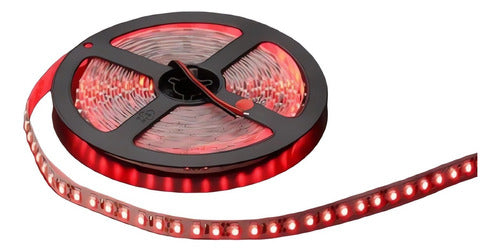 Silverled 5 Meter LED Strip with 220V Power Supply – White, Green, Blue or Red 0