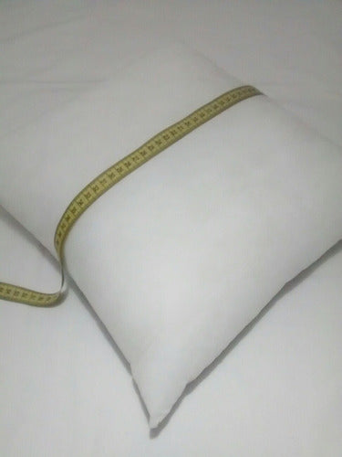 20x60 Vip Silicon Pillow Filling - Soft & Quick Recovery - Alina Bueno 1