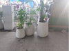 Cement Plant Pots 0