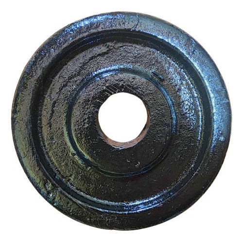 10kg Cast Iron Weight Plate - 100% Solid 1