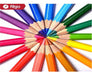 Filgo Pinto Long Colored Pencils X 36 Colors 2