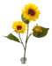 Generic Sunflower Stem X2 0