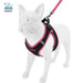 Pretal Arnes + Correa P/gatos Y Perros Talle Xl - Negro+f 4