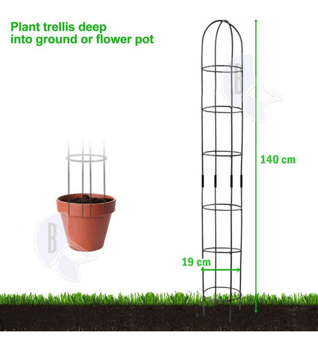 Iron Plant Trellis Tutor for Climbing Vines Arch Garden Fence Guide 2