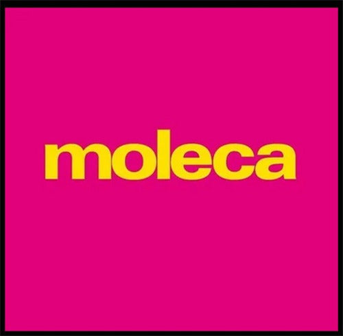 Moleca Chatitas Balerinas P Confort 5635 816 Pt Natshoes 4