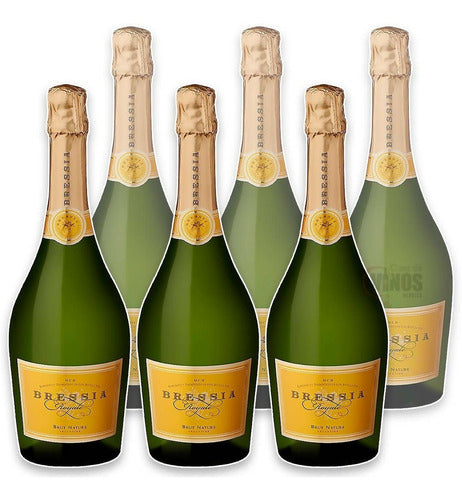 Alta Vista Espumante Royale Brut Nature X6 Unidades Bodega Bressia 0