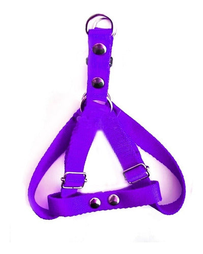 Mascopado Accesorios Arnes Pretal Regulable Perros Chico Mediano Grande Colores 4