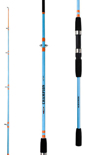 Albatros Champion 2.40 Meters 2-Piece Solid Fishing Rod 4