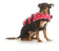 Seachoice Dog Life Jacket 86360 - Adjustable Life Vest 0