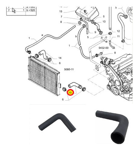 Caño Tubo Manguera Inferior Radiador Para Iveco Daily 1