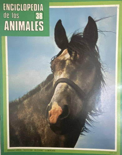 Lote De 34 Fascículos De La Enciclopedia De Los Animales Ej4 6