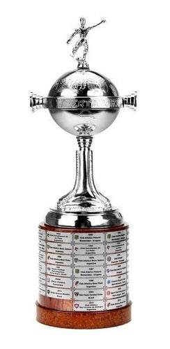 Copa Libertadores Todos Los Campeones A La Actualidad 35 Cm 0