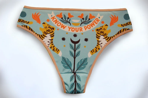 Absorbent Design Underwear, Menstrual/Incontinence 9