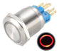 Metallic Flush Push Button 16mm LED 12-24V 31