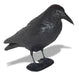 Raven Plastic Crow Bird Repellent Scarecrow Black X 10 units 4