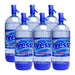 Ivess Soda Disposable Siphon 2L X6 Units 0