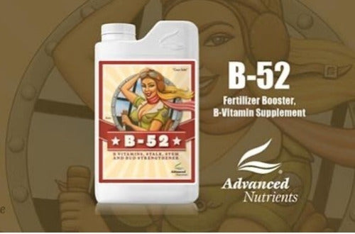 Fertilizante B-52 100ml 2