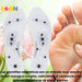 Slimming Firming Patches Plus Reflexology Insoles 4