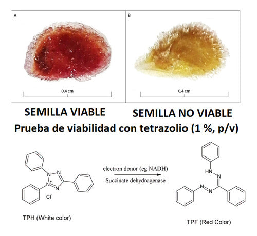 Salttech 2,3,5-Trifenyltetrazolium Chloride P.A. X 10 G 1