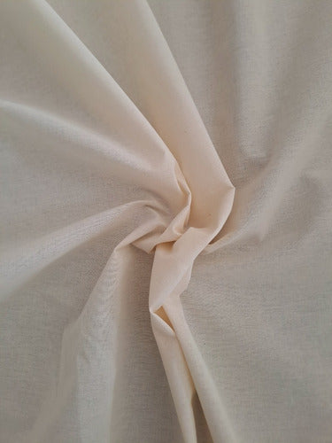 Natural Canvas Fabric 100% Cotton 20/20 1.60 x 1 Meters 1