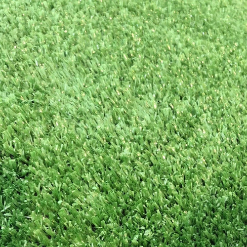 Artificial Grass Carpet 10mm Height 2 x 1 Meters 0