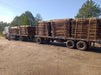 CCA Treated Eucalyptus Posts 13 Meters for Wholesale 5