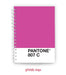 Maguncia Cuaderno A5, Pantone 4