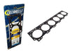 Cicarelli Cylinder Head Gasket for Indenor Xd2/xd3 1.70 3m 0