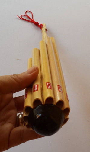 Thai Wote Bamboo Pan Flute 3