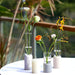 ZENS Small Bud Vases Set of 3, Minimalist Glass Vase 4