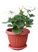 Ideal Planters for Floral Plants and Cacti Pack of 5 Units 0