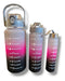 Set of 3 Motivational Sports Water Bottles with Time Tracker 9