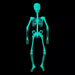 Manzana Cotillon Large Fluorescent Skeleton Halloween Decoration 2