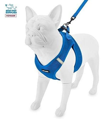 Voyager Step-In Air All Weather Mesh Harness and Reflective Leash Combo with Neoprene Handle, M - 10 3