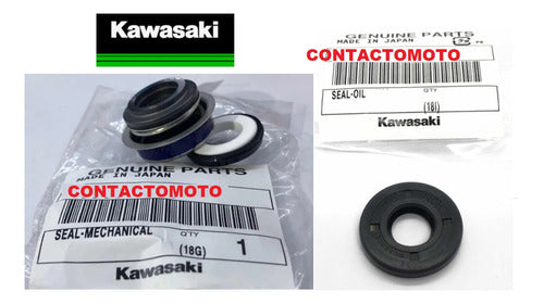 Kawasaki Water and Oil Pump Gasket Retainer Er6n 06/14 Original 1