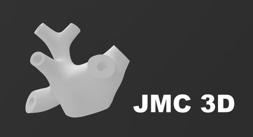 JMC 3D Sistema Vestibular Practica Medicina Educacional Vertigo 3