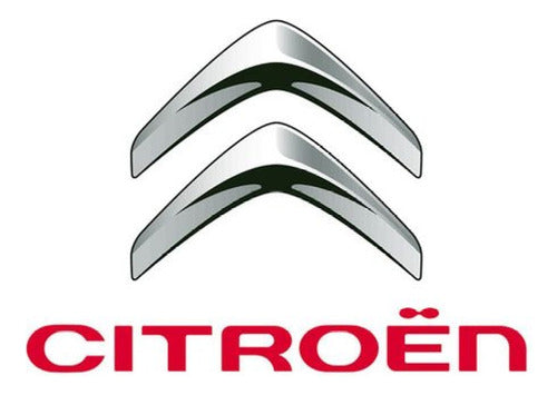 Set of 2 Front Brake Discs for Citroen Berlingo C3 C4 03/ 2