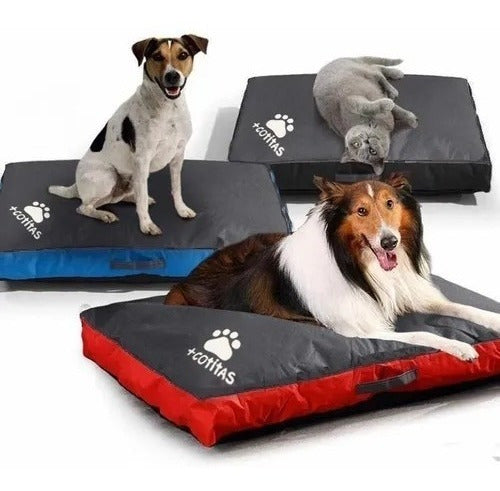 +cotitas Waterproof Mattress with Cover for Large Breeds 110x70 0