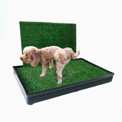 Only Pet Large Male Dog Sanitary Tray (63x40x7) 0