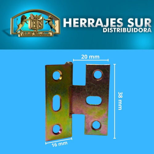 HS 10 U. Bisagra Pestaña Tipo Nº5 Regular Zinc Puerta 38x40 4