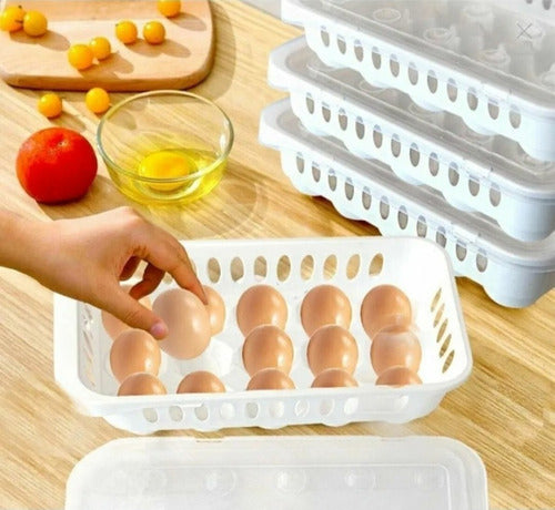 Plastic Egg Holder Tray X 15 with Transparent Lid and White Base by Pettish Online 0