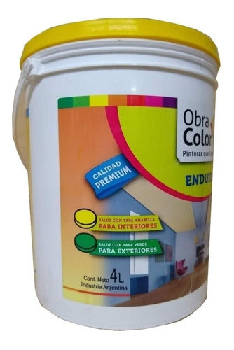 Obra Color Enduido Premium - 4 Liters 6